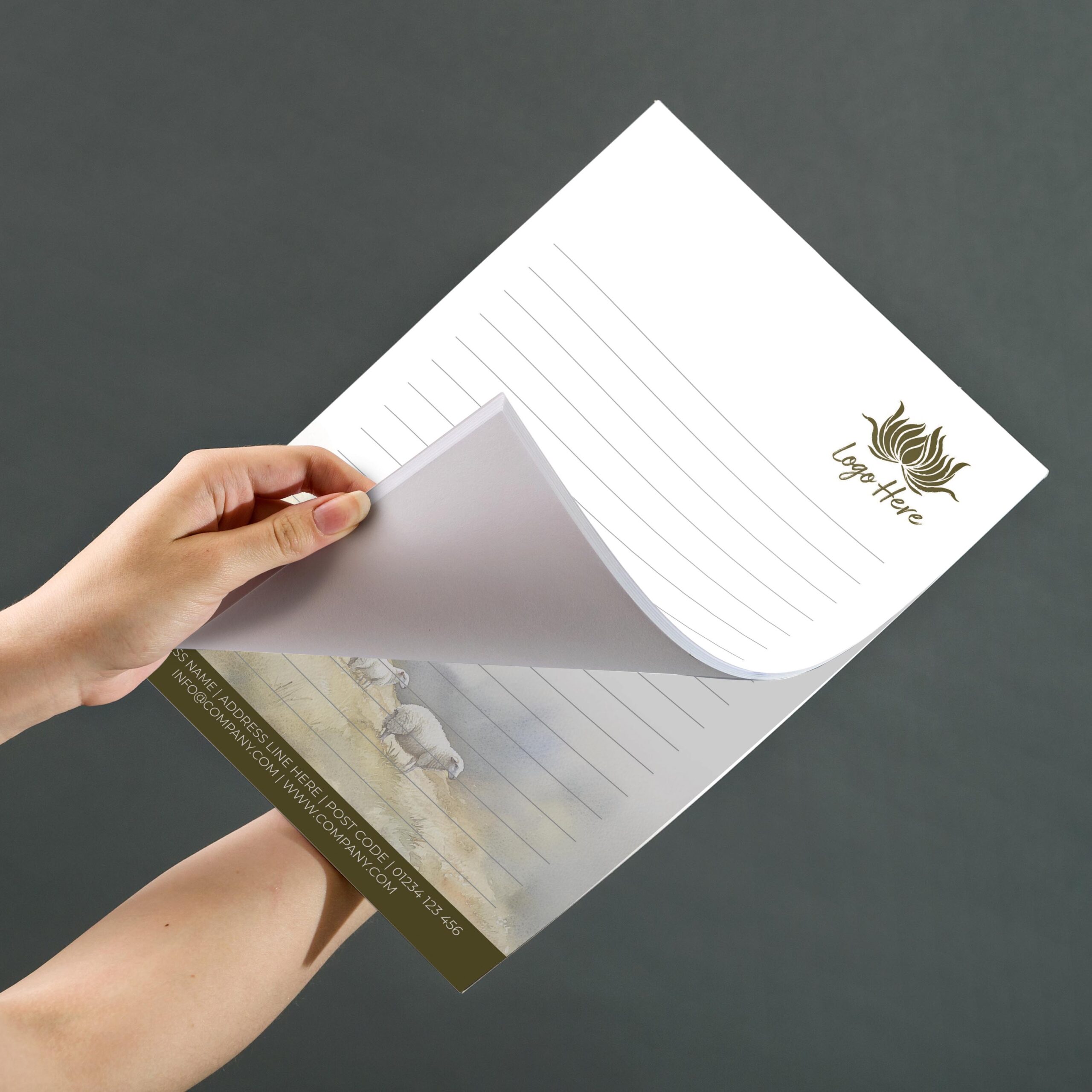 Cypress Path Notepad Design, A5 And A4 Sizes With Leafy Green Accents, Image 3.